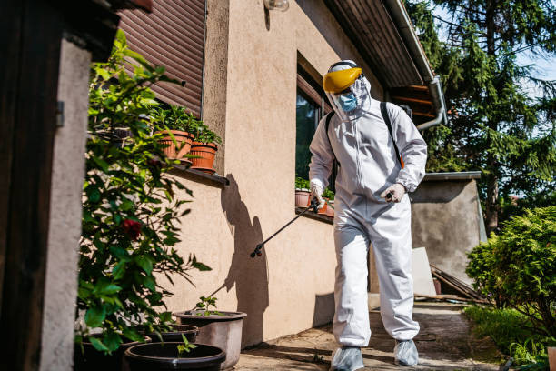 Best Spider Control Near Me  in Harlem, FL