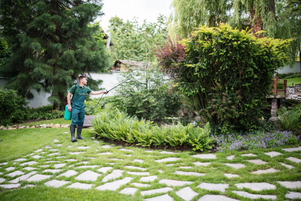 Best Ant Control Services  in Harlem, FL