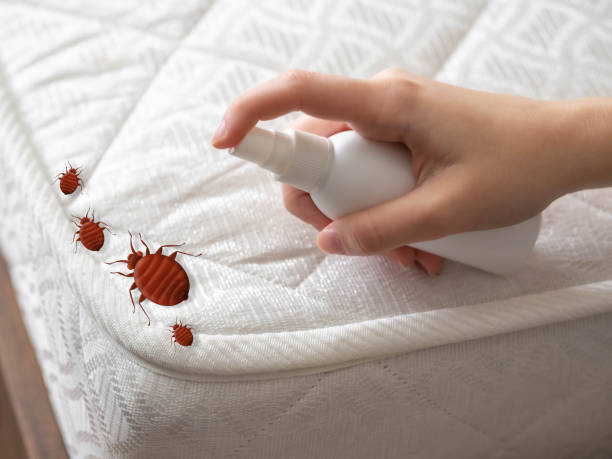 Best Bed Bug Extermination  in Harlem, FL