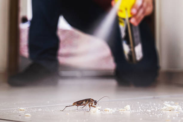 Best Wildlife Control Services  in Harlem, FL