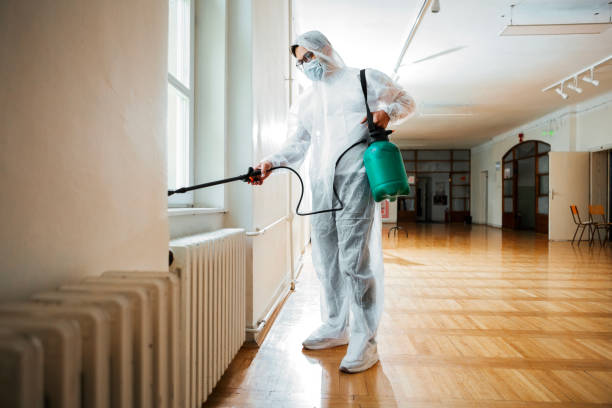 Best Rat Extermination Near Me  in Harlem, FL