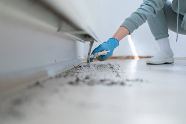 Best Affordable Pest Control Services  in Harlem, FL